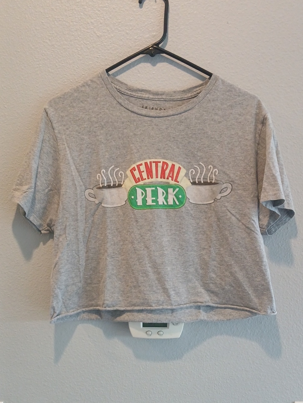 FRIENDS Grey Central Perk Graphic Cropped Tee with Red & Green Logo